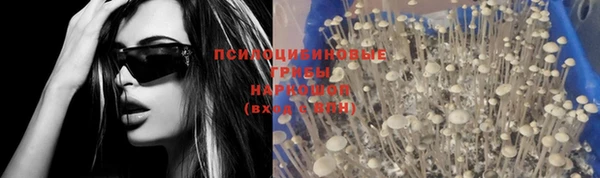 таблы Белокуриха