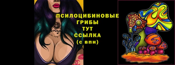 молекула духа Беломорск