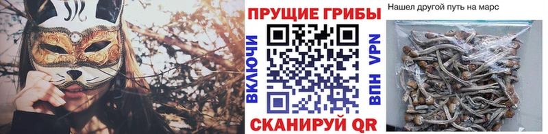 Псилоцибиновые грибы MAGIC MUSHROOMS  Озёрск 