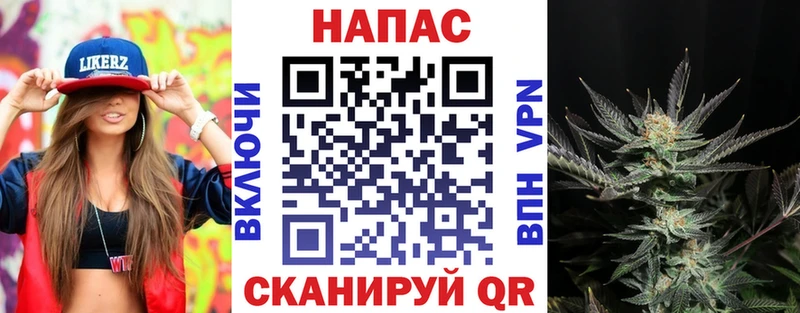 Шишки марихуана ГИДРОПОН  где можно купить   Озёрск 
